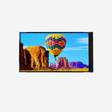 4.96 inch HD+ Display Module