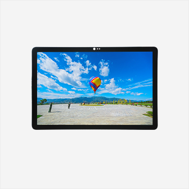 10.1 inch Low Blue Light  “E-paper” Display Module